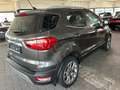 Ford EcoSport Titanium KAMERA NAVI SCHIEBED. AHK GAR. Gris - thumbnail 7
