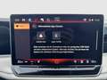 Volkswagen Passat Variant BUISNESS 2.0 TDI DSG IQ DRIVE MATRIX AHK DCC KLIM Grau - thumbnail 19