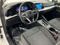 Volkswagen Golf Golf 2.0 tdi Life 115cv dsg Bianco - thumbnail 7