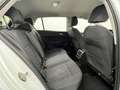 Volkswagen Golf Golf 2.0 tdi Life 115cv dsg Bianco - thumbnail 13