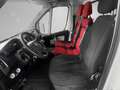 Fiat Ducato 35 L1 130 Multijet | 1.BESITZ | MOBILKRAN | Weiß - thumbnail 7