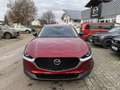 Mazda CX-30 e-SKYACTIV-X 186PS 6GS HOMURA Rot - thumbnail 2