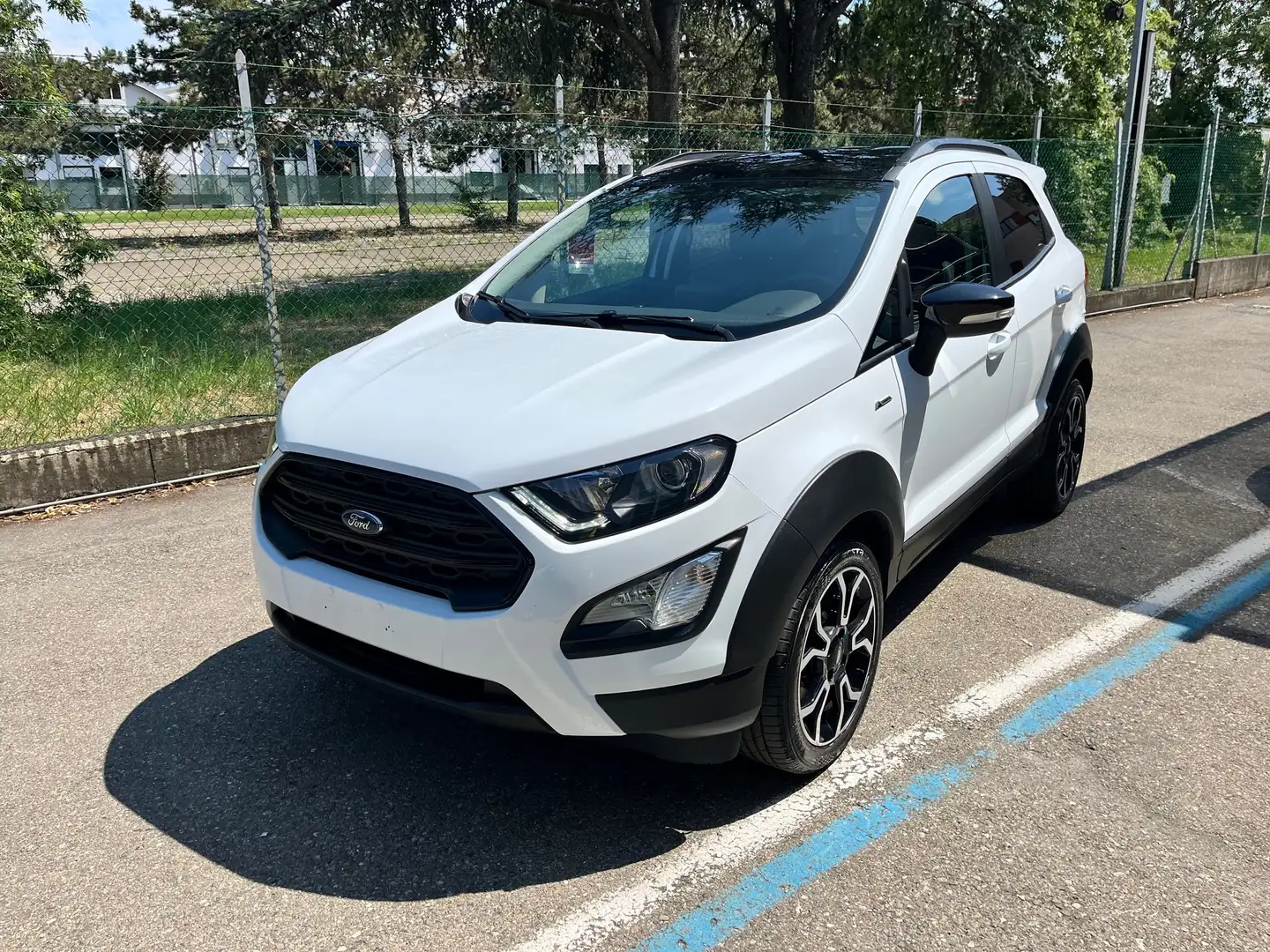Ford EcoSport EcoSport 1.0 ecoboost Active  Molto Bella! Bianco - 2