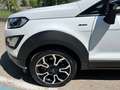 Ford EcoSport EcoSport 1.0 ecoboost Active  Molto Bella! Bianco - thumbnail 5