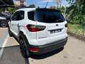 Ford EcoSport EcoSport 1.0 ecoboost Active  Molto Bella! Bianco - thumbnail 4