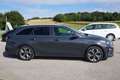 Kia Ceed SW / cee'd SW cee'd Sportswagon 1,6 CRDi SCR ISG Gold 48V Schwarz - thumbnail 5