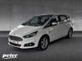 Ford S-Max 1.5 EcoBoost Titanium /LED/Panorama-SD/ Blanco - thumbnail 1