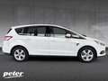 Ford S-Max 1.5 EcoBoost Titanium /LED/Panorama-SD/ Blanco - thumbnail 20