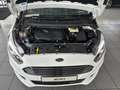 Ford S-Max 1.5 EcoBoost Titanium /LED/Panorama-SD/ Blanco - thumbnail 21