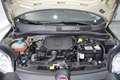 Fiat Panda CROSS 1.0 Hybrid 70cv  5° Posto CarPlay Nero - thumbnail 15