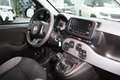 Fiat Panda CROSS 1.0 Hybrid 70cv  5° Posto CarPlay Nero - thumbnail 2