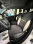 Fiat Panda Panda 1.0 firefly hybrid Pandina Cross PROMO Blanc - thumbnail 4