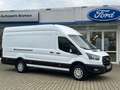 Ford Transit Kasten 350 L4 Trend Technologie-Paket Blanco - thumbnail 3