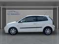Volkswagen Polo IV Basis Wagen Nr 112 Blanc - thumbnail 8
