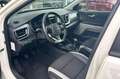 Kia Stonic 1.0 T-GDi Sports Edition | Navigatie | Cruise Cont Weiß - thumbnail 12