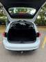 Ford Focus Focus Traveller 1,5 EcoBlue Trend Trend Weiß - thumbnail 7