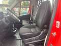Citroen Jumper 160 HDI - CASSONE FISSO NUOVO 4.10 mt Rosso - thumbnail 11