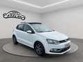 Volkswagen Polo 1.4 TDI 5p.BlueMotion Technology TETTO APRIBILE Blanc - thumbnail 8