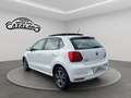 Volkswagen Polo 1.4 TDI 5p.BlueMotion Technology TETTO APRIBILE Blanc - thumbnail 3