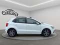 Volkswagen Polo 1.4 TDI 5p.BlueMotion Technology TETTO APRIBILE Blanc - thumbnail 6