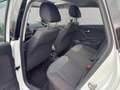 Volkswagen Polo 1.4 TDI 5p.BlueMotion Technology TETTO APRIBILE Blanc - thumbnail 14