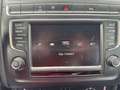 Volkswagen Polo 1.4 TDI 5p.BlueMotion Technology TETTO APRIBILE Blanc - thumbnail 30