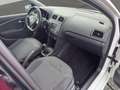 Volkswagen Polo 1.4 TDI 5p.BlueMotion Technology TETTO APRIBILE Blanc - thumbnail 21