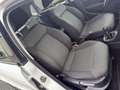 Volkswagen Polo 1.4 TDI 5p.BlueMotion Technology TETTO APRIBILE Blanc - thumbnail 20