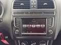 Volkswagen Polo 1.4 TDI 5p.BlueMotion Technology TETTO APRIBILE Blanc - thumbnail 16