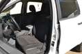 Ford Ranger XL Streuer 4x4  WINTERDIENST Schneepflug Weiß - thumbnail 7