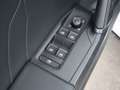 CUPRA Formentor 1.5 TSI LED RADAR LEDER ASSIST PDC Weiß - thumbnail 19