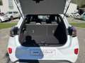 Ford Puma 1.0 EcoBoost Hybrid 125 CV S&S Titanium Blanc - thumbnail 22