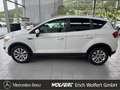 Ford Kuga Titanium AHK Kamera im Kundenauftrag zu verkaufen Weiß - thumbnail 8