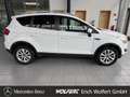Ford Kuga Titanium AHK Kamera im Kundenauftrag zu verkaufen Weiß - thumbnail 4