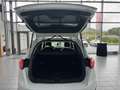 Ford Kuga Titanium AHK Kamera im Kundenauftrag zu verkaufen Weiß - thumbnail 18