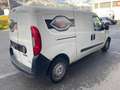 Fiat Doblo Basis Maxi Kasten Weiß - thumbnail 15