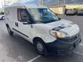 Fiat Doblo Basis Maxi Kasten Weiß - thumbnail 19