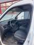 Fiat Doblo Basis Maxi Kasten Weiß - thumbnail 4