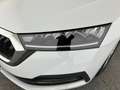 Skoda Octavia Ambition TDI DSG Weiß - thumbnail 11