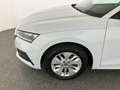 Skoda Octavia Ambition TDI DSG Weiß - thumbnail 10