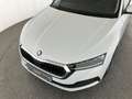 Skoda Octavia Ambition TDI DSG Weiß - thumbnail 12