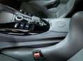 Mercedes-Benz AMG GT R PRO Limited Edition -ITALIANA-FIRST PAINT-1 OF Grigio - thumbnail 16