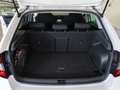 Skoda Sonstige Rapid - thumbnail 14