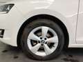 Skoda Sonstige Rapid - thumbnail 15