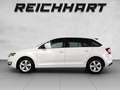 Skoda Sonstige Rapid - thumbnail 2
