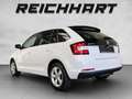 Skoda Sonstige Rapid - thumbnail 3