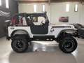 Jeep Wrangler YJ 4.0 Blanco - thumbnail 8