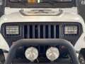 Jeep Wrangler YJ 4.0 Blanco - thumbnail 11