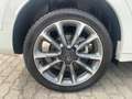 Fiat 500X 1,5 GSE Mild-Hybrid Leder - Automatik Weiß - thumbnail 4