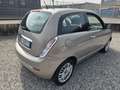 Lancia Ypsilon 1.2 8v Platinum 69cv - thumbnail 5
